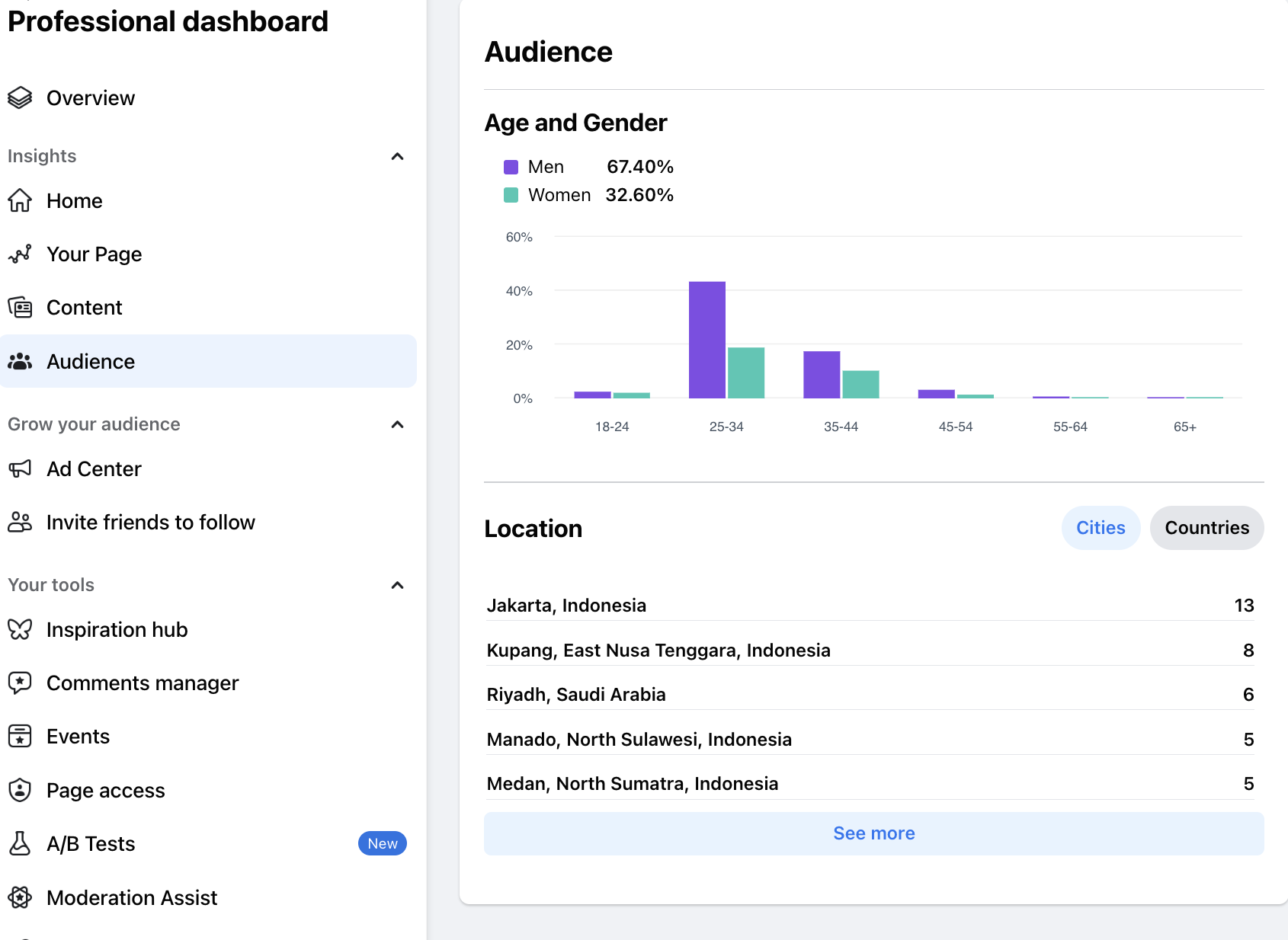 What is the audience on a Facebook business page?