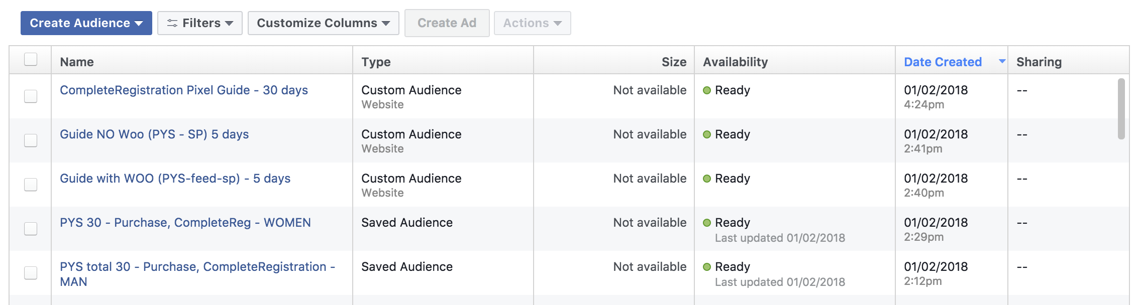 Facebook custom audience minimum size