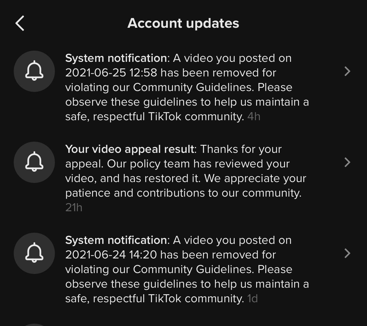 What are the TikTok community guidelines