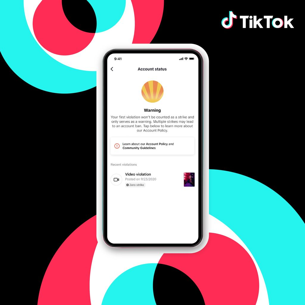 What are the TikTok community standards?