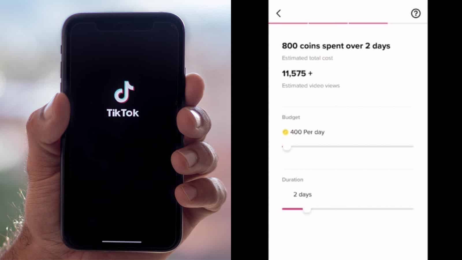 How long does TikTok Promote take to work?